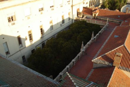 Los patios